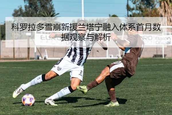 科罗拉多雪崩新援兰塔宁融入体系首月数据观察与解析